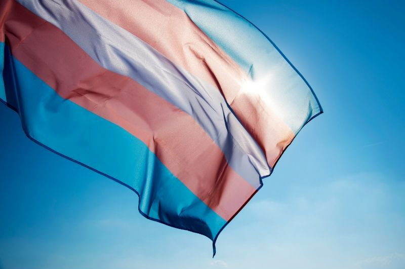 transgender flag