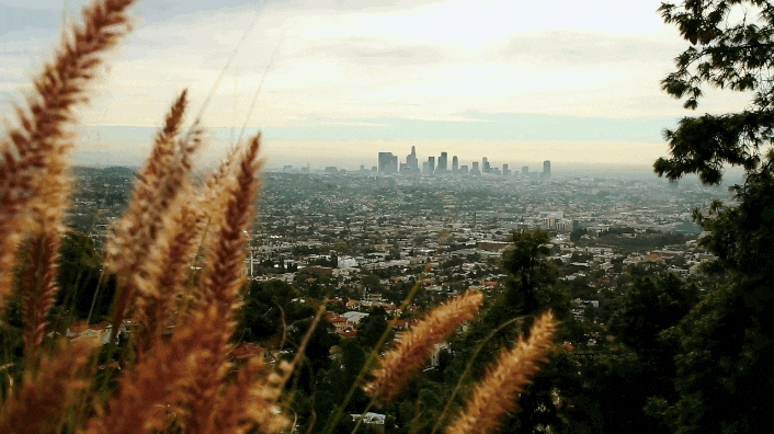 los angeles gif