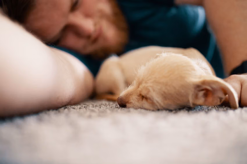 Focus on getting enough quality sleep