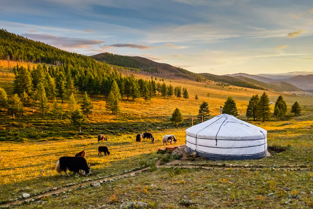 mongolia travels