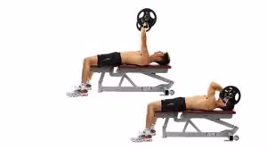 Lying triceps extension on a bench, weight held above the chest and then lowered behind the head