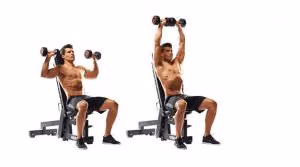 Seated dumbbell shoulder press in two steps, from shoulder height to arms extended overhead