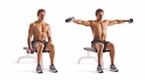 Seated dumbbell lateral raise, arms at the sides and then lifted out to shoulder height