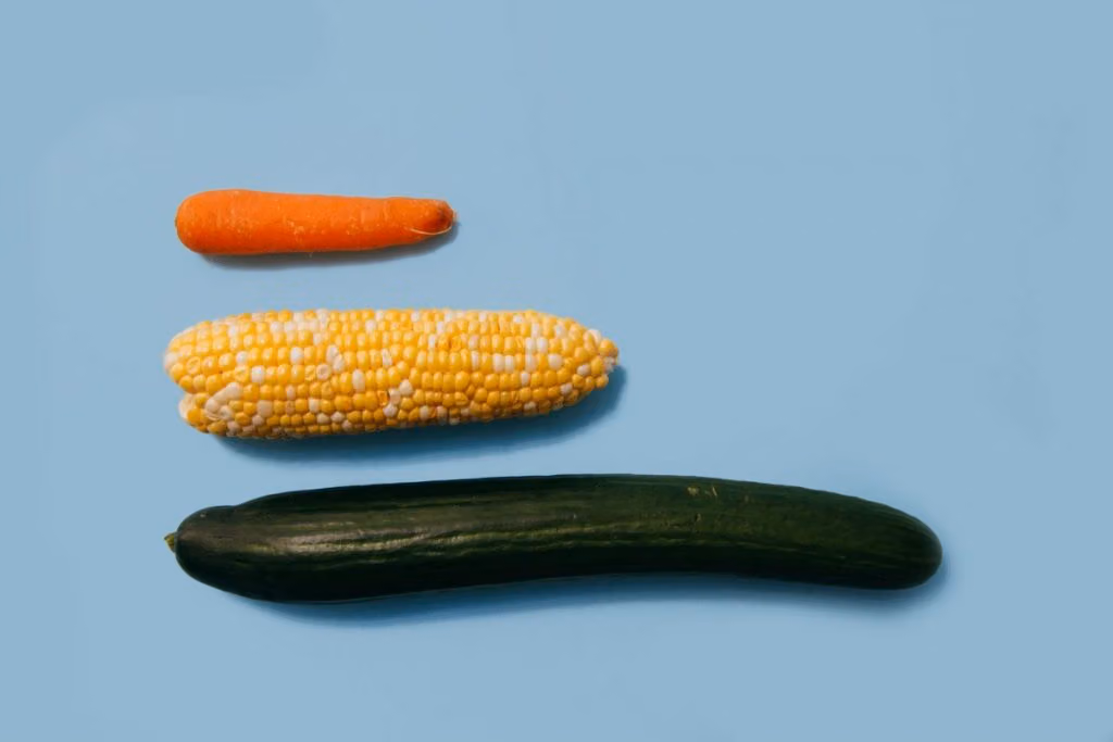Penis Size Remedies and Fun