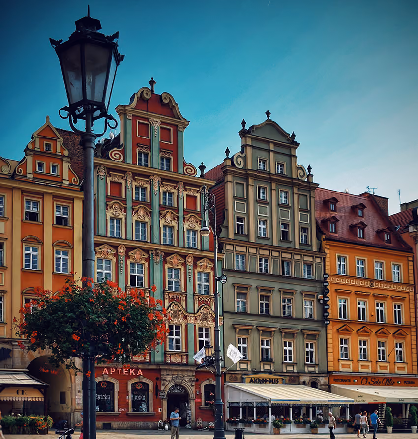 poland filmmaker