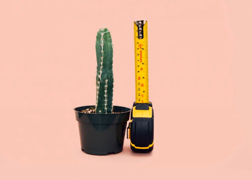 Penis Size Remedies and Fun