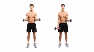 Standing dumbbell curl, both arms down and then one dumbbell curled up to the shoulder