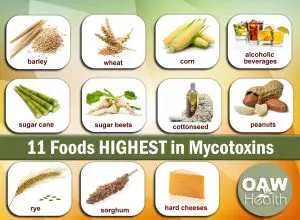 11-foods-highest-in-mycotoxins-www.oawhealth.com