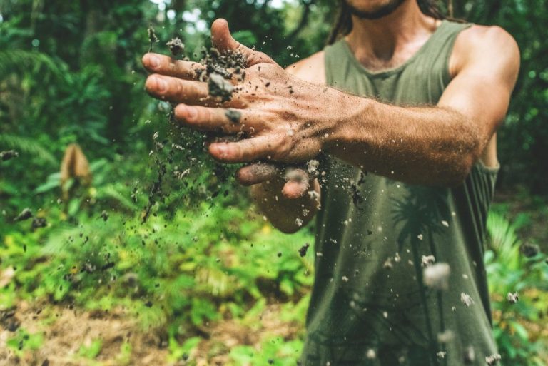 How to Improve Gut Health