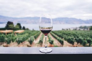 napa valley wine