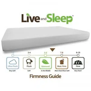 Live and Sleep - Resort 10-Inch Memory Foam Mattress-1