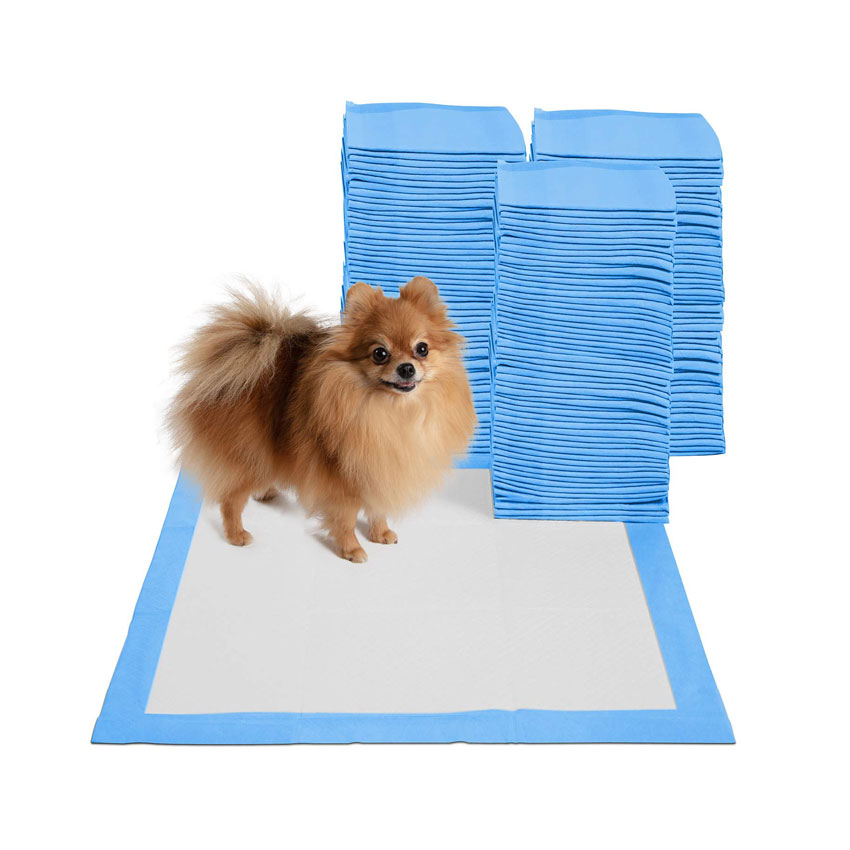 Puppy Potty Pads