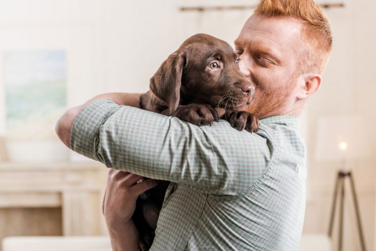 How to Potty Train a Puppy in an Apartment